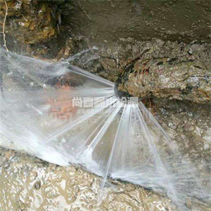 龙华山办事处消防管道漏水检测